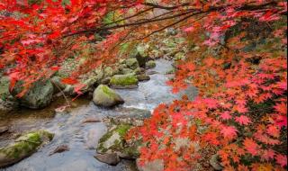 重庆万盛黑山谷 重庆万盛黑山谷