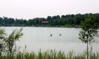 石家庄正定园博园 石家庄正定园博园